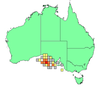 Great Australian Bight Macroinfauna